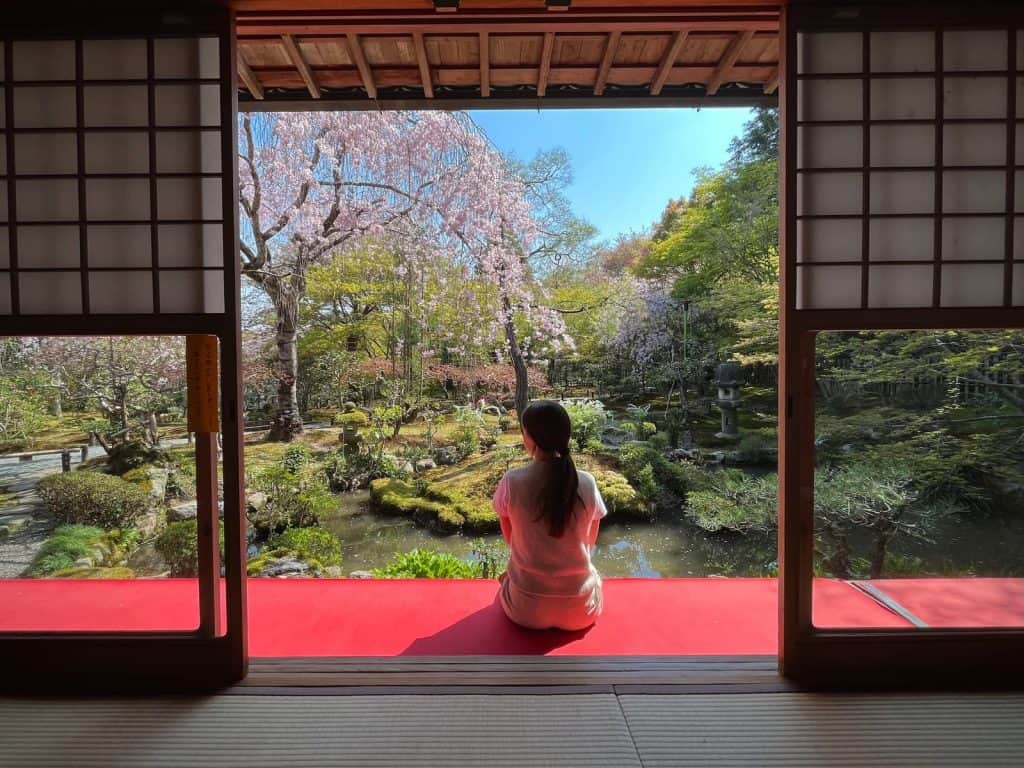 Gaia seduta per terra al tempio Rioanji a Kyoto davanti a un giardino tradizionale con i ciliegi fioriti