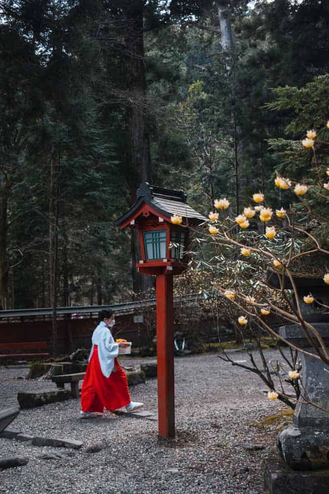Tempio di Nikko nel bosco