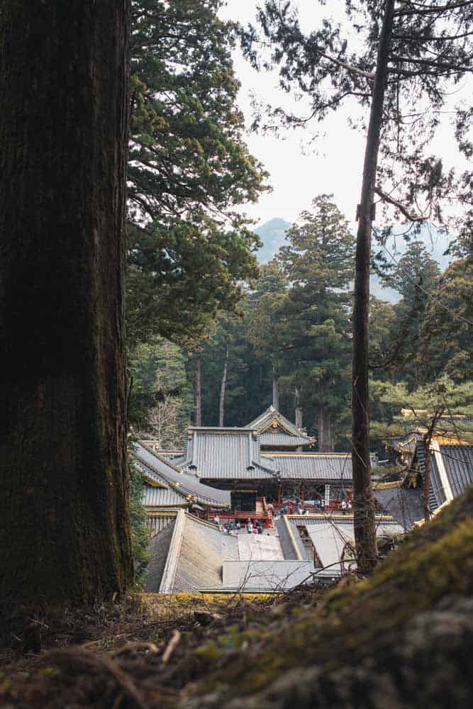 Tempio in mezzo agli alberi e al bosco a Nikko