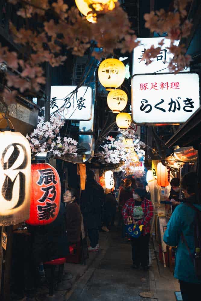 Omoide Yokocho con i suoi cartelli luminosi e decorazioni di notte