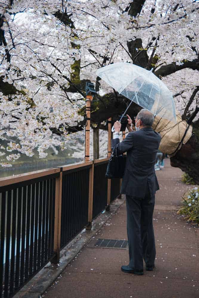 Uomo in giacca e cravatta che fotografa la fioritura dei ciliegi in Giappone a Tokyo