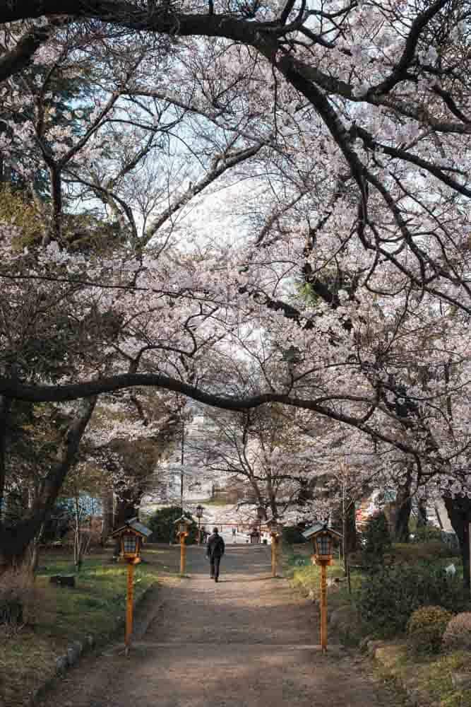Sentiero per raggiungere Chureito Pagoda e vedere il monte fuji