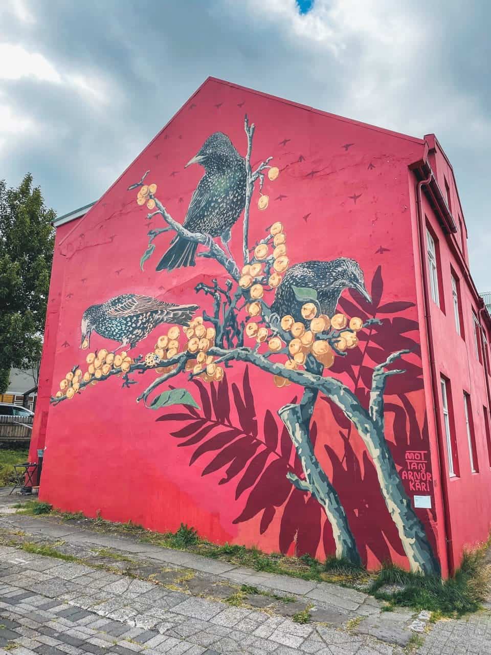 Street art a Reykjavik
