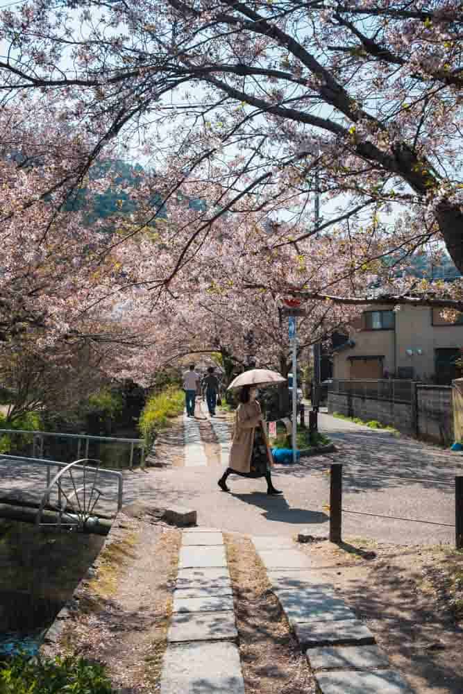 Ragazza che passeggia sul sentiero del filosofo a Kyoto durante la fioritura dei ciliegi