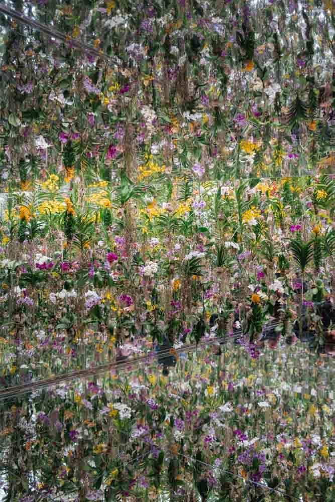 Fiori che sembrano estendersi all'infinito grazie alle pareti e pavimento a specchio da TeamLab Planets a Tokyo