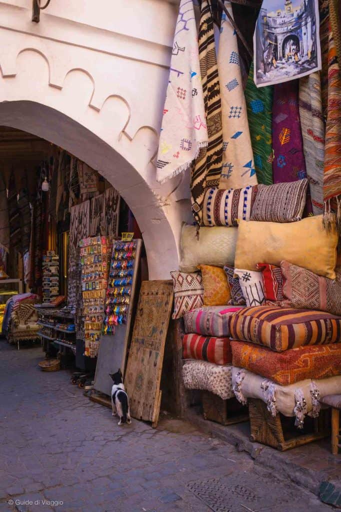 Gatto in un souk di Marrakech davanti a tessuti e cuscini