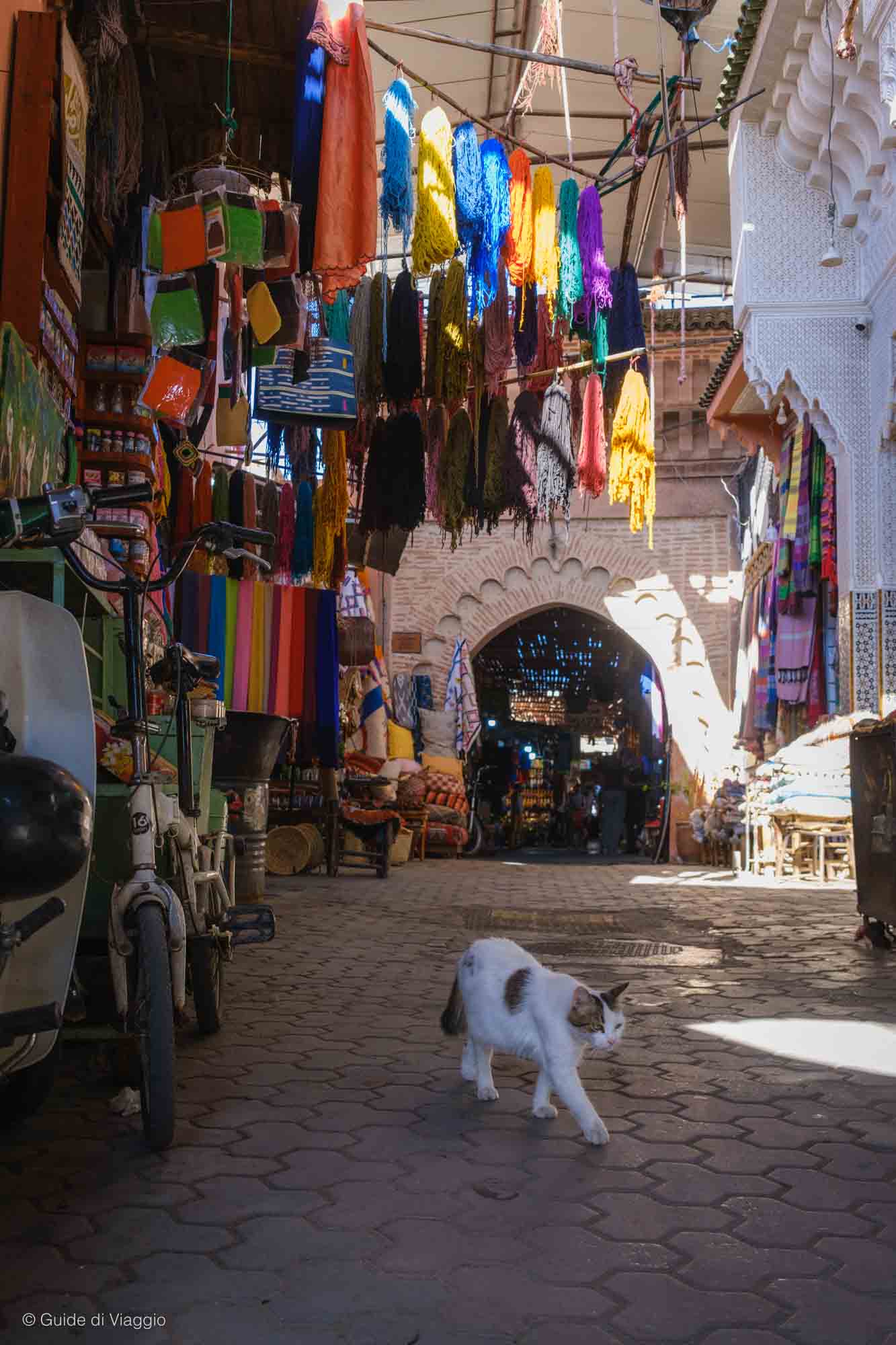 Gatto camminana in un souk a Marrakech