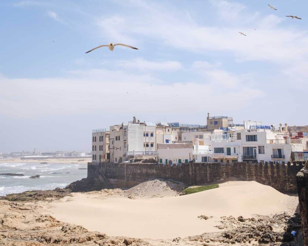 Panorama di Essaouira
